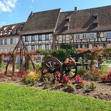 Logement Tout Confort 3 - Wifi - Parking Wissembourg Buitenkant foto