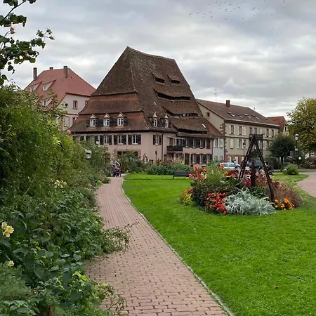 Logement Tout Confort 3 - Wifi - Parking Wissembourg Buitenkant foto