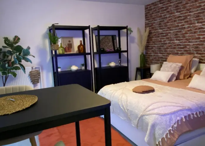Logement Tout Confort 3 - Wifi - Parking