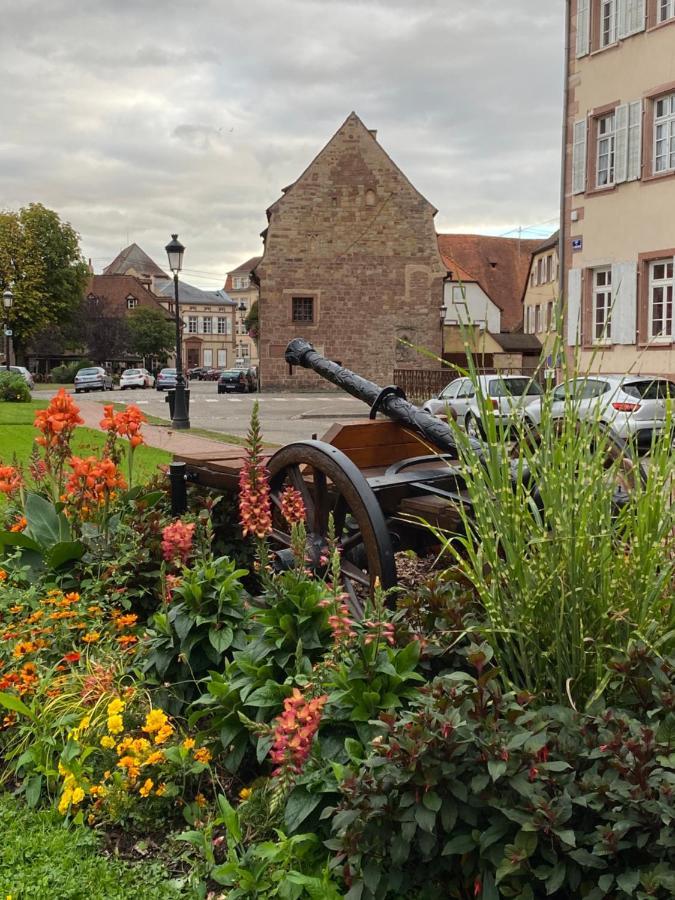 Apartment Confort 3 - Wifi - Parking Wissembourg